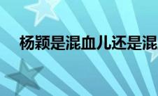 杨颖是混血儿还是混血（杨颖是混血儿）