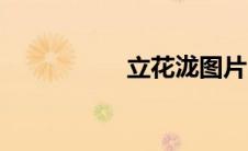 立花泷图片（立花泷）