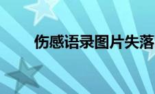 伤感语录图片失落（伤感语录图片）
