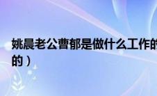 姚晨老公曹郁是做什么工作的（二婚的姚晨是怎么看上曹郁的）