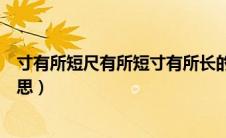 寸有所短尺有所短寸有所长的意思（尺有所短寸有所长的意思）