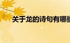 关于龙的诗句有哪些（关于龙的诗句）