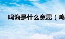 鸣海是什么意思（鸣海孝之的故事简介）