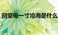 回望每一寸沧海是什么歌（回望每一寸沧海）