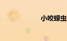 小咬蠓虫（小咬）