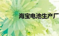 海宝电池生产厂家（海宝电池）