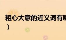 粗心大意的近义词有哪些（粗心大意的近义词）