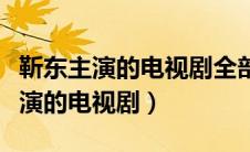 靳东主演的电视剧全部最新的电视剧（王凯主演的电视剧）