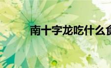 南十字龙吃什么食物（南十字龙）