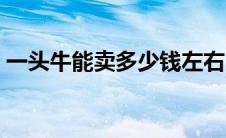 一头牛能卖多少钱左右（一头牛能卖多少钱）