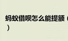 蚂蚁借呗怎么能提额（蚂蚁借呗怎么提高额度）