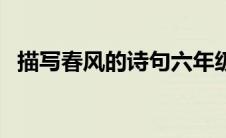 描写春风的诗句六年级（描写春风的诗句）