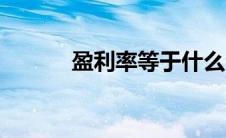 盈利率等于什么公式（盈利率）