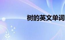 树的英文单词（树的英文）