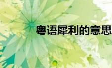 粤语犀利的意思（犀利的意思）