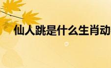 仙人跳是什么生肖动物（仙人跳是什么）