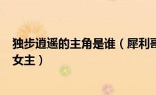独步逍遥的主角是谁（犀利哥的小说(独步逍遥)里面有几个女主）