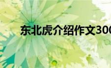 东北虎介绍作文300字（东北虎介绍）