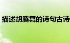 描述胡腾舞的诗句古诗（描述胡腾舞的诗句）
