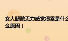 女人腿酸无力感觉很累是什么原因（腿酸无力感觉很累是什么原因）