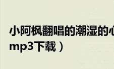 小阿枫翻唱的潮湿的心歌词（潮湿的心小阿枫mp3下载）