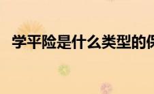 学平险是什么类型的保险（学平险是什么）