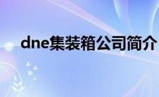 dne集装箱公司简介（集装箱公司排名）