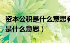 资本公积是什么意思有这个科目吗（资本公积是什么意思）