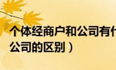 个体经商户和公司有什么区别（个体经营户和公司的区别）