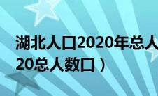 湖北人口2020年总人数是多少（湖北人口2020总人数口）