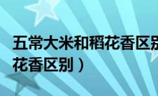 五常大米和稻花香区别是什么（五常大米和稻花香区别）