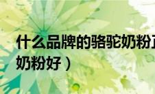 什么品牌的骆驼奶粉正宗?（什么品牌的骆驼奶粉好）