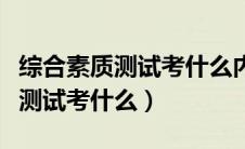 综合素质测试考什么内容事业单位（综合素质测试考什么）