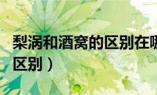 梨涡和酒窝的区别在哪里图片（梨涡和酒窝的区别）