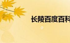 长陵百度百科（长陵txt）