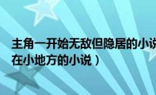 主角一开始无敌但隐居的小说（求男主一开始便无敌但隐居在小地方的小说）