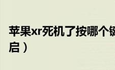 苹果xr死机了按哪个键（苹果xr死机了怎么重启）