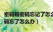 密码箱密码忘记了怎么办才能解开（密码本密码忘了怎么办）