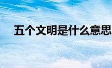五个文明是什么意思（五个文明是什么）