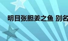 明目张胆姜之鱼 别名（明目张胆姜之鱼）