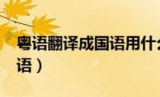 粤语翻译成国语用什么软件?（粤语翻译成国语）