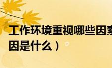 工作环境重视哪些因素（工作环境很重要的原因是什么）