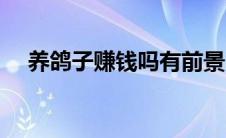 养鸽子赚钱吗有前景吗（养鸽子赚钱吗）