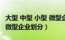 大型 中型 小型 微型企业划分（大型中型小型微型企业划分）