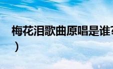 梅花泪歌曲原唱是谁?（梅花泪歌曲原唱是谁）