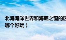 北海海洋世界和海底之窗的区别（北海海底世界和海洋之窗哪个好玩）