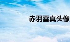 赤羽雷真头像（赤羽雷真）