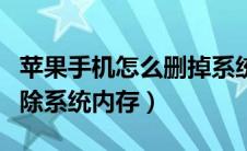 苹果手机怎么删掉系统内存（苹果手机怎么删除系统内存）