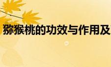 猕猴桃的功效与作用及营养（弥猴桃的功效）