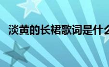 淡黄的长裙歌词是什么（淡黄的长裙歌词）